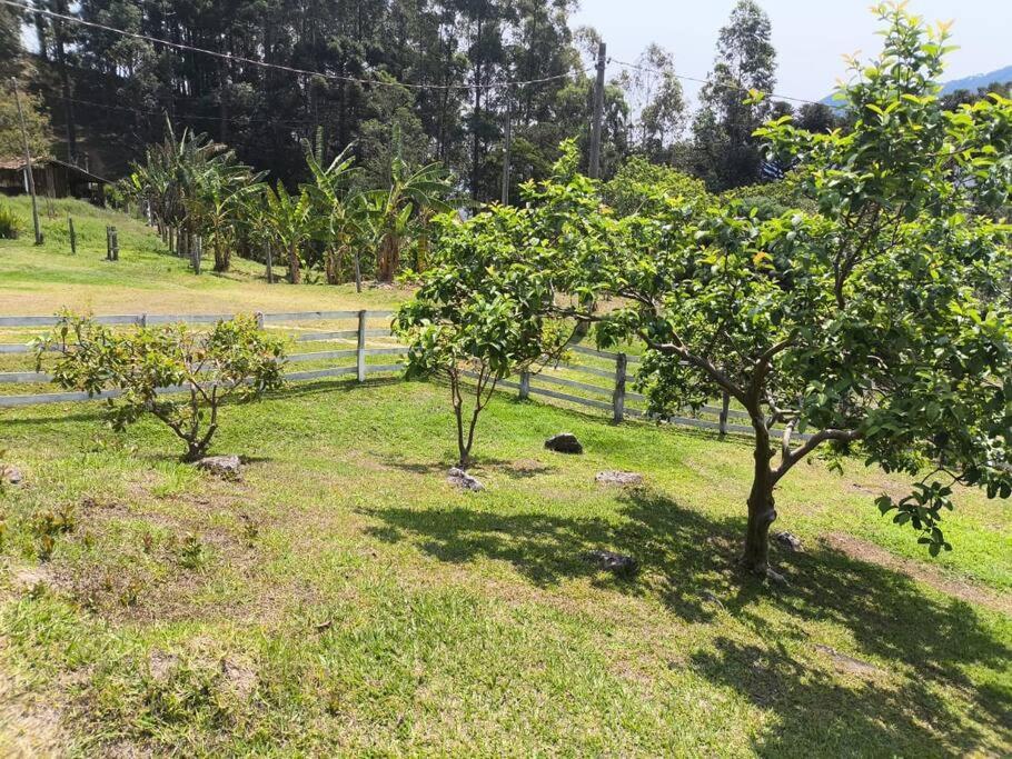 Recanto Embahu São Bento do Sapucaí Eksteriør billede